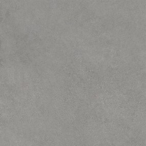 Dlažba Rawtech Silver 60x60