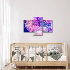 Obraz - Makro (90x60 cm)