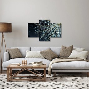Obraz -Kvet s pavučinou (90x60 cm)