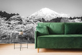 Samolepiaca fototapeta čiernobiela Fuji v objatí japonskej prírody