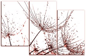 Obraz na plátne - Pampeliškové semienka s kvapkami vody 1202KD (150x100 cm)