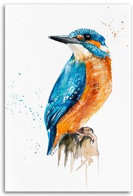 Gario Obraz na plátne Kingfisher - Dorota Martyńska Rozmery: 60 x 90 cm