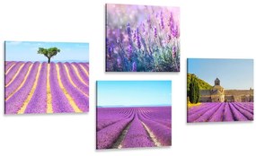 Set obrazov levanduľové pole Varianta: 4x 40x40