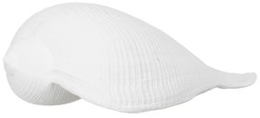 Soška z polyresínu (výška 5 cm) Seashell – Ixia