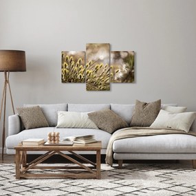 Obraz - Zeleň (90x60 cm)