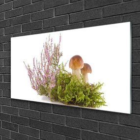 Skleneny obraz Huby rastlina príroda 100x50 cm