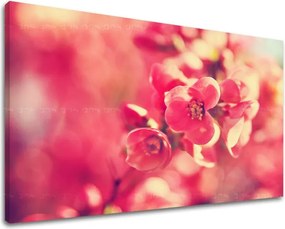 Obraz na stenu KVETY KV072E11 - 80x120 cm