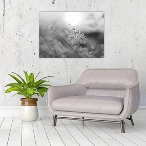 Sklenený obraz - Jesenná lúka (70x50 cm)