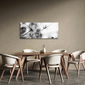 Obraz - Čiernobiele kvety (120x50 cm)