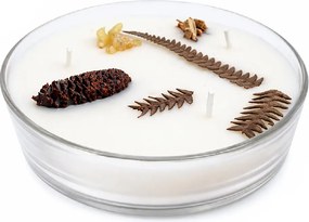 Song of India Botanicals - Balsam Cedarwood