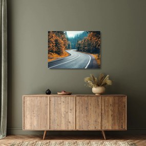 Sklenený obraz - Kľukatá cesta (70x50 cm)