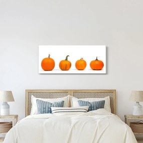 Obraz dyne (120x50 cm)