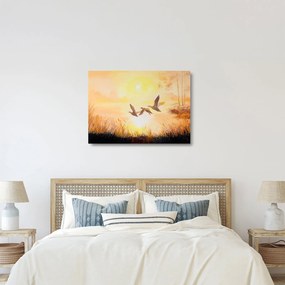Sklenený obraz - Žeriavy pri západe slnka (70x50 cm)