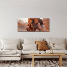 Obraz - Veľký slon africký (120x50 cm)