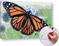 Maľovanie podľa čísel MOTEL MONARCHA