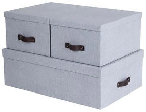 Svetlosivé kartónové úložné boxy s vekom v súprave 3 ks 31x47x15 cm Inge – Bigso Box of Sweden