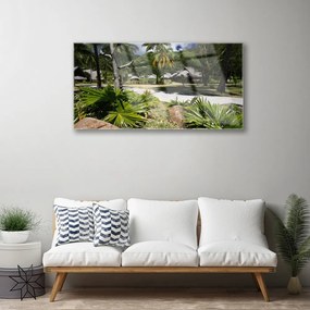 Skleneny obraz Listy palmy stromy príroda 120x60 cm