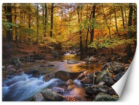 Fototapeta, Krajina lesní řeky - 150x105 cm