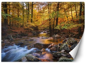 Fototapeta, Krajina lesní řeky - 250x175 cm