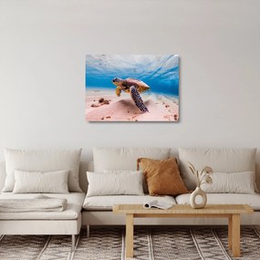 Sklenený obraz korytnačky v oceáne (70x50 cm)