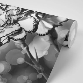 Samolepiaca tapeta romantický kvet karafiátu v čiernobielom prevedení