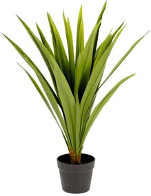 Umelá rastlina (výška 80 cm) Yucca – Kave Home