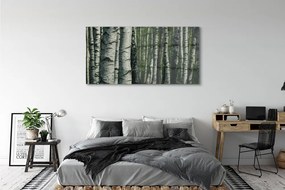 Obraz plexi Brezového lesa 140x70 cm