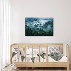 Obraz - Les v hmle (90x60 cm)