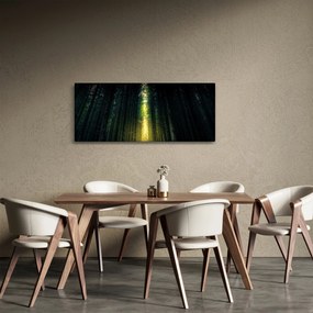 Obraz temného lesa (120x50 cm)
