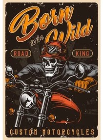 Ceduľa Motorcycles - Born To be Wild
