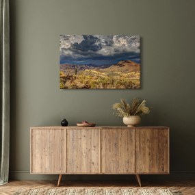 Obraz - kaktusy v prírode (90x60 cm)