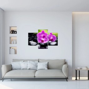 Obraz - Orchidey (90x60 cm)
