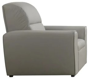 Kožené kreslo TOKIO, sivá (u-24)