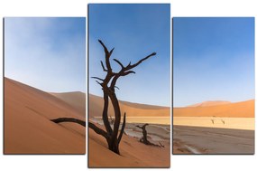 Obraz na plátne - Mŕtvy strom v dunach 1130C (150x100 cm)