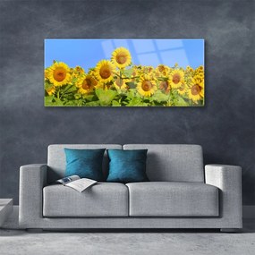 Obraz na akrylátovom skle Slnečnica kvet rastlina 125x50 cm