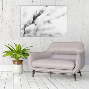 Obraz - Začiatok jari (90x60 cm)