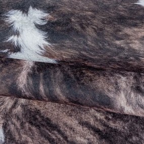 Koberec ETOSHA 4113 hnedá