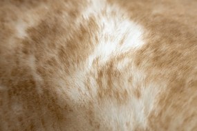 Koberec prateľný LAPIN Shaggy,  hnedý/ slonová kosť