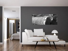 Obraz - Slonia noha (120x50 cm)
