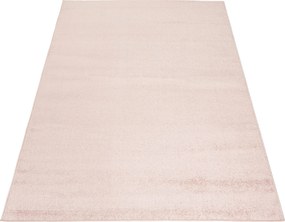TA Koberec P113A RUŽOVÝ PRAMEŇ