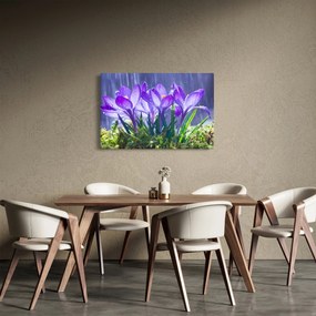 Obraz kvetov v daždi (90x60 cm)
