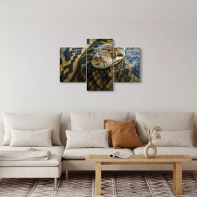 Obraz - Pytón (90x60 cm)