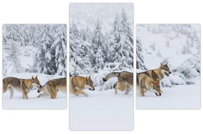 Obraz - Vlci v horách (90x60 cm)