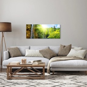 Obraz - vodopády v pralese (120x50 cm)
