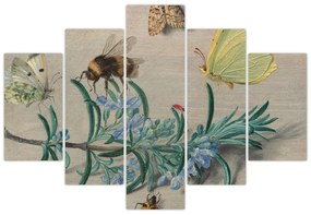 Obraz - Jan van Kessel the Elder, Insects and a Sprig of Rosemary, reprodukcia (150x105 cm)