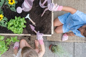 Vedierko Fairy Garden