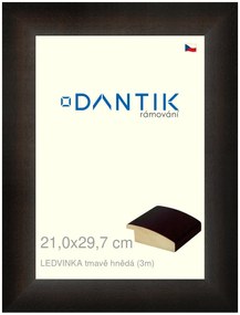 DANTIK rám na obraz 21x29,7 | LEDVINKA tmavě hnědá (Sklo Čiré)