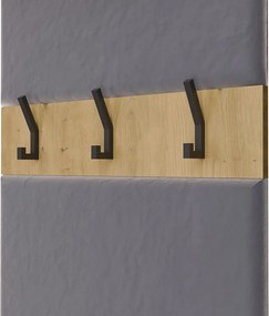 Předsíňová stěna Haga 2Sz2W 200 cm dub Artisan