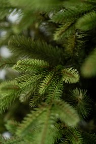 Limpol Vianočný stromček Jedľa Exclusive – 170 cm