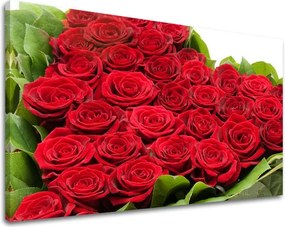 Obraz na stenu KVETY KV042E11 - 20x30 cm